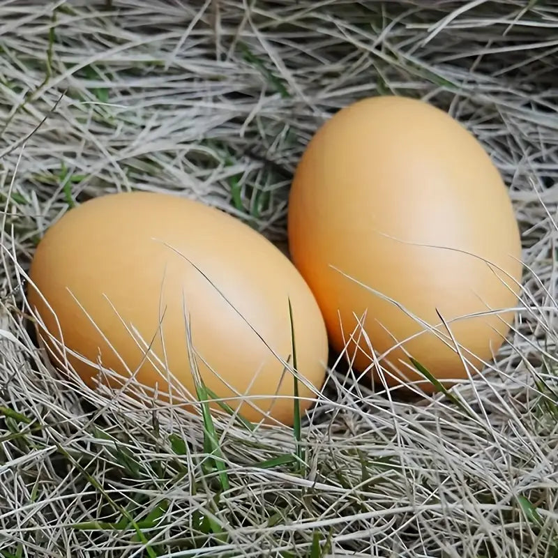 Dahlia Pets Chicken Coop Training Eggs (5 pack) - Artificial/Fake Eggs