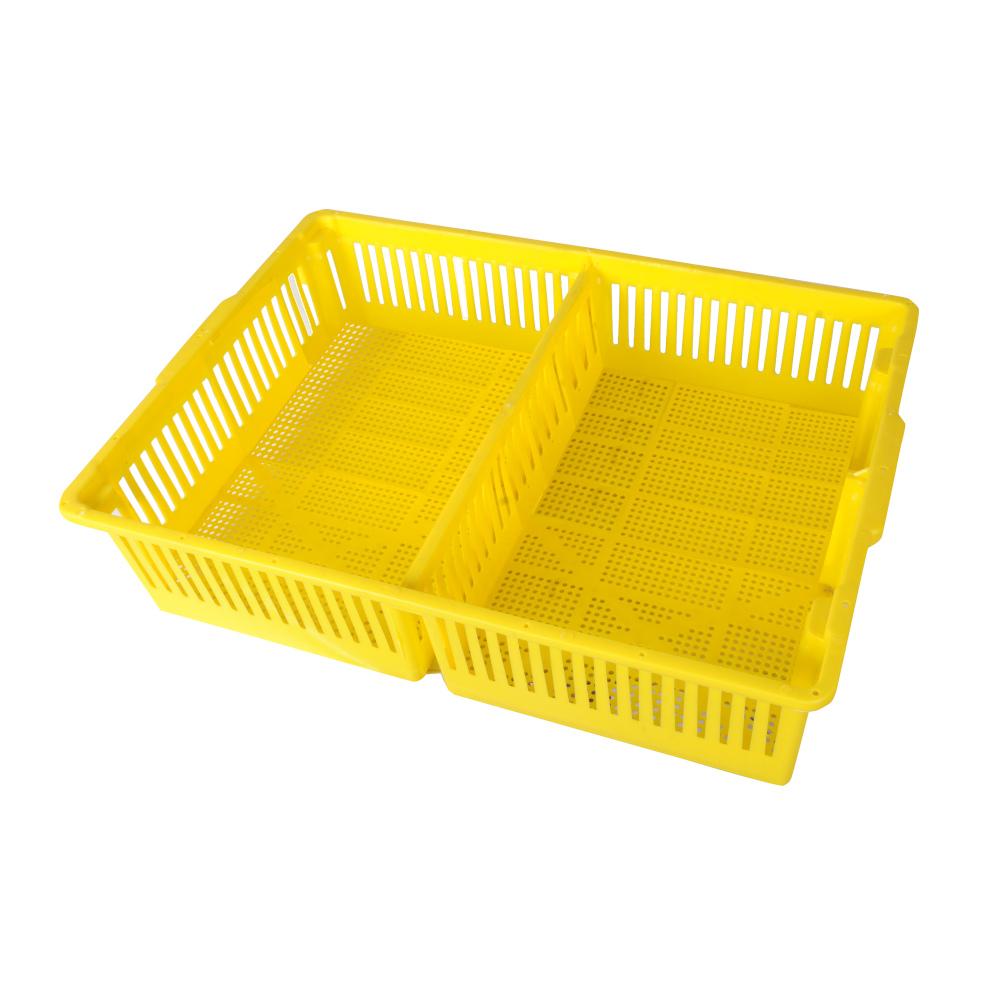 AYTAV Large Chick Basket - 2 Section (2x50 Chicks)