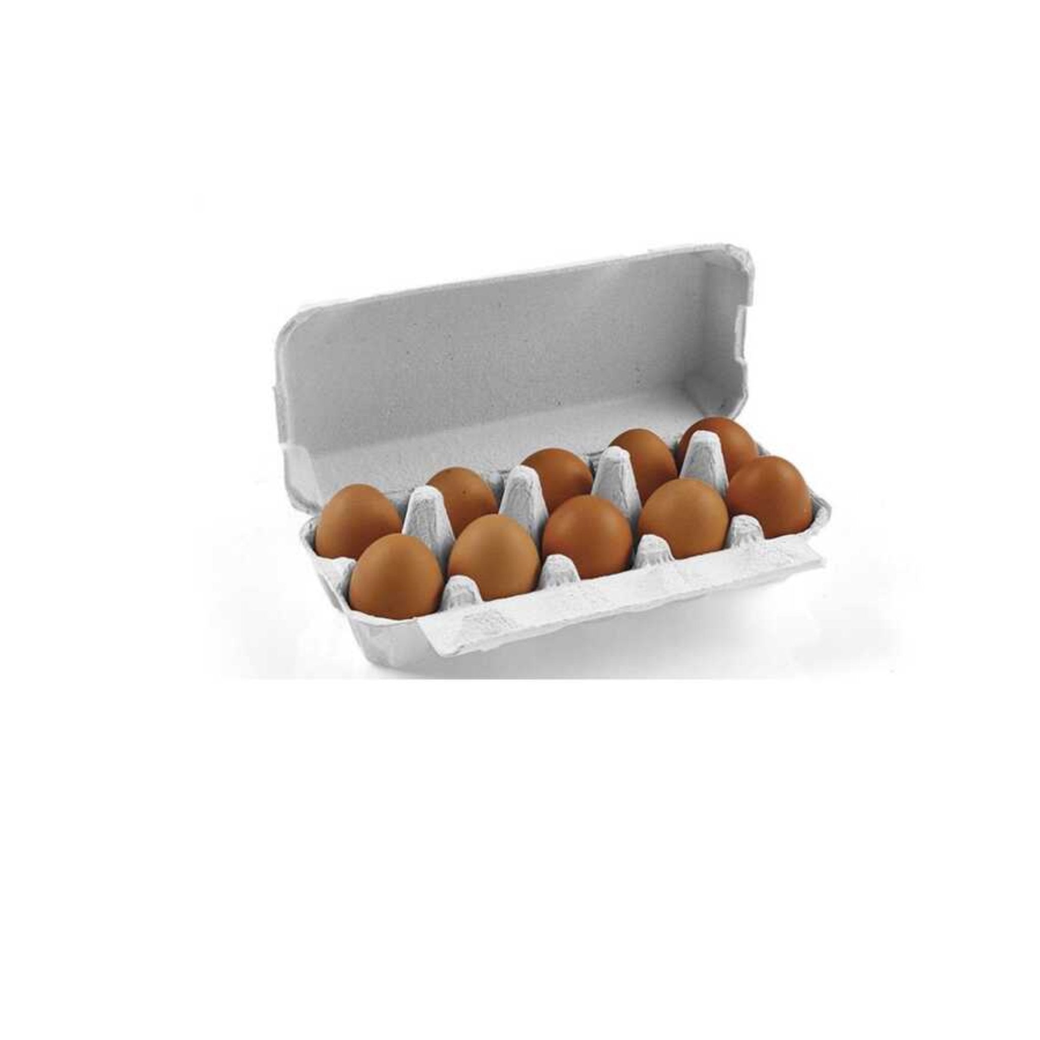 Hatching Time 10-Egg Cartons - Natural Pulp, Flat Top Blank
