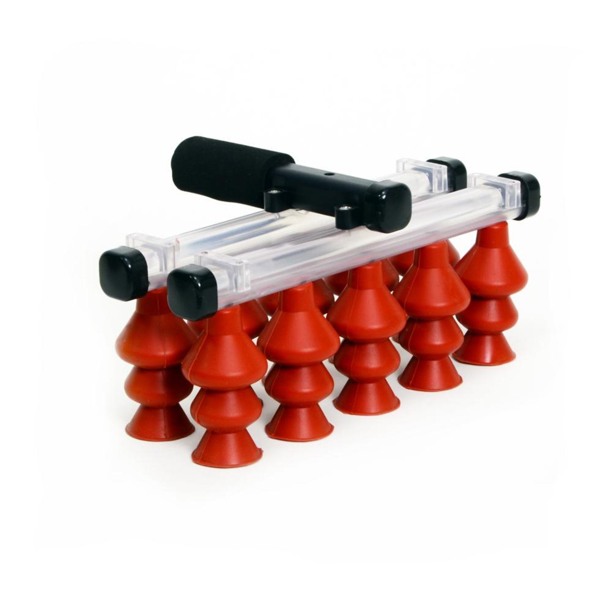 Hatching Time Vacuum Egg Lifter (10 Eggs) - Manual