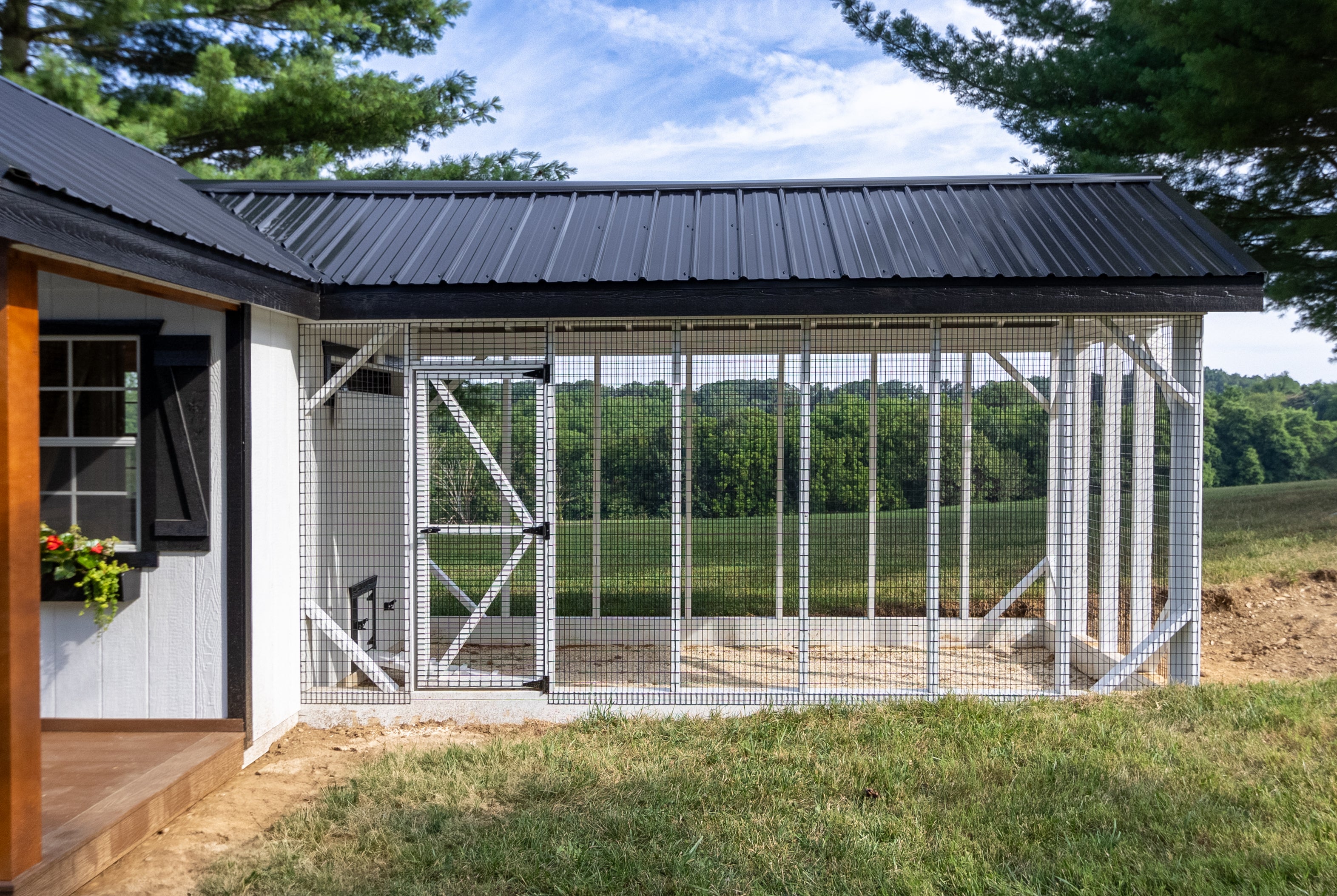 Hen House Collection Chicken Coop & 2 Runs Multibreed Coop A828CD 1 chicken coop run