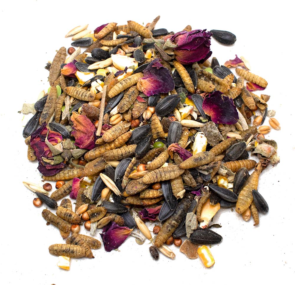 Pampered Chicken Mama Sunflower Power Textured Treat With Sunflower Seeds, BloomGrubs, Rose, Sage, Corn