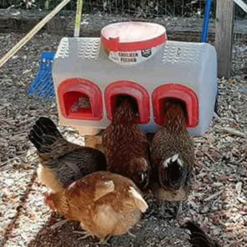 OverEZ Chicken Waterer 3