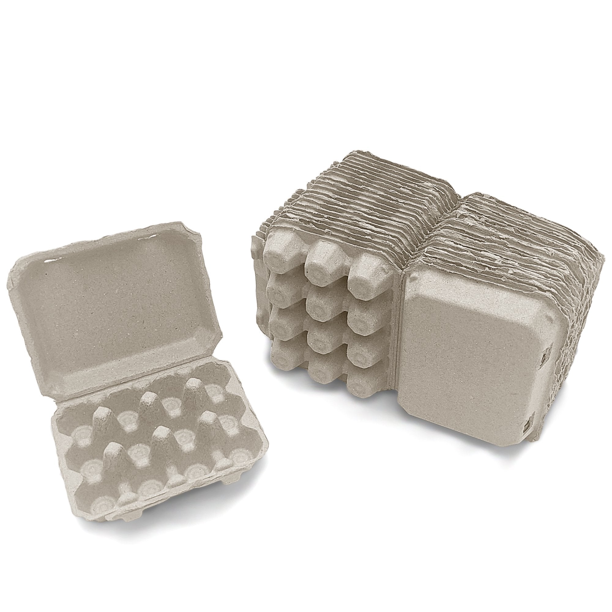 Henlay Quail Egg Carton for 12 Eggs