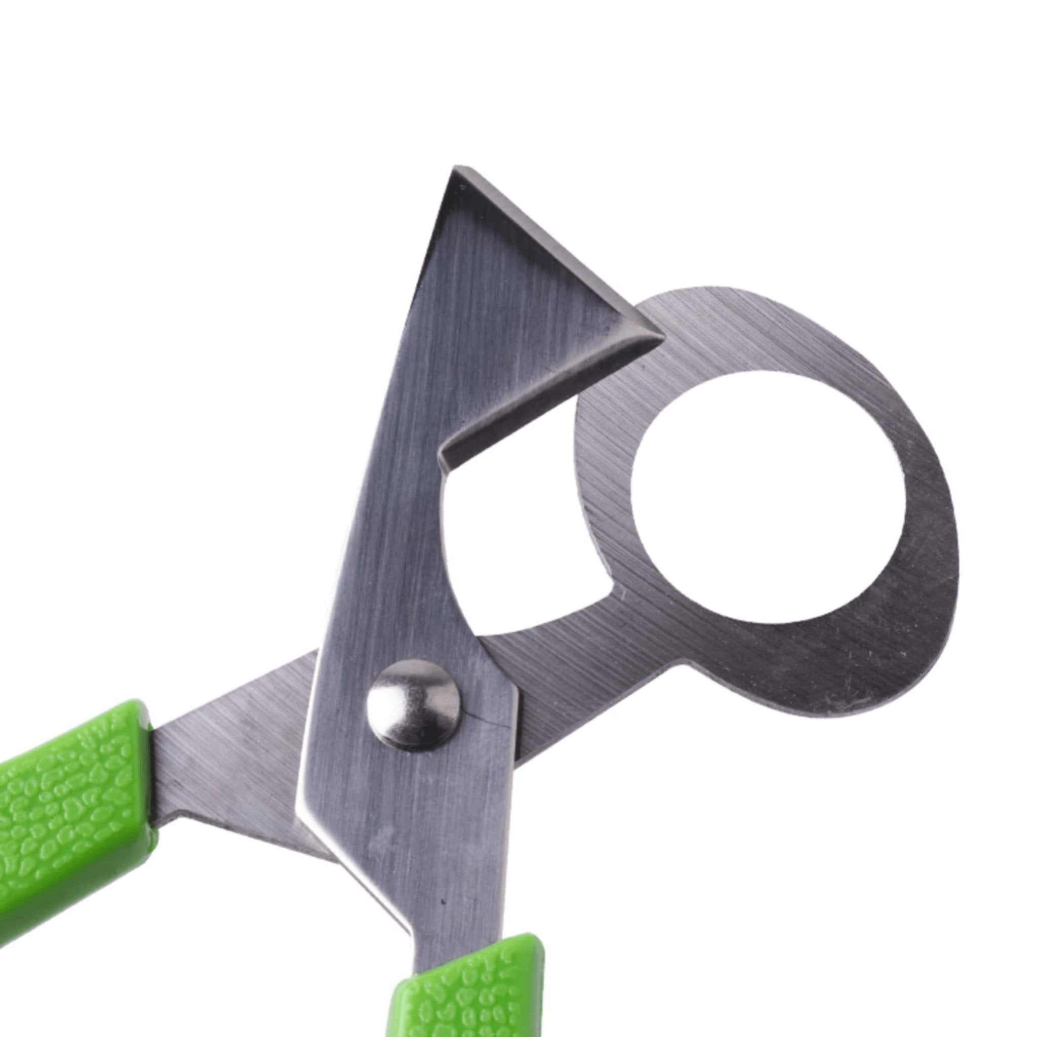 Hatching Time Quail Egg Scissors for Easy Opening