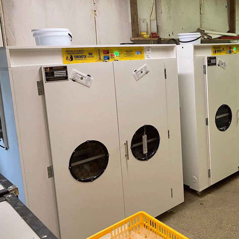 Surehatch SH8000 Egg Hatchery - 3 Incubators & 1 Hatcher at a hatchery