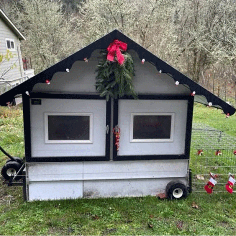 Egg Cart'n The Chalet Chicken Tractor 10-12 Chickens doors closed