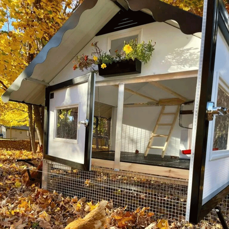 Egg Cart'n The Chalet Chicken Tractor 10-12 Chickens open view with ladder
