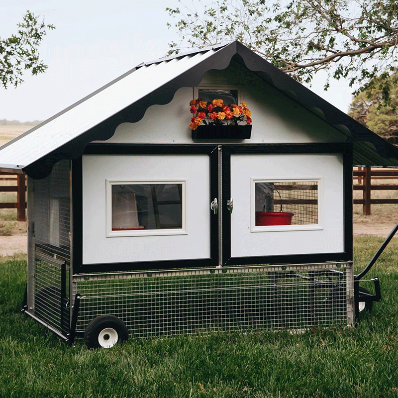 Egg Cart'n The Chalet Chicken Tractor 10-12 Chickens 1