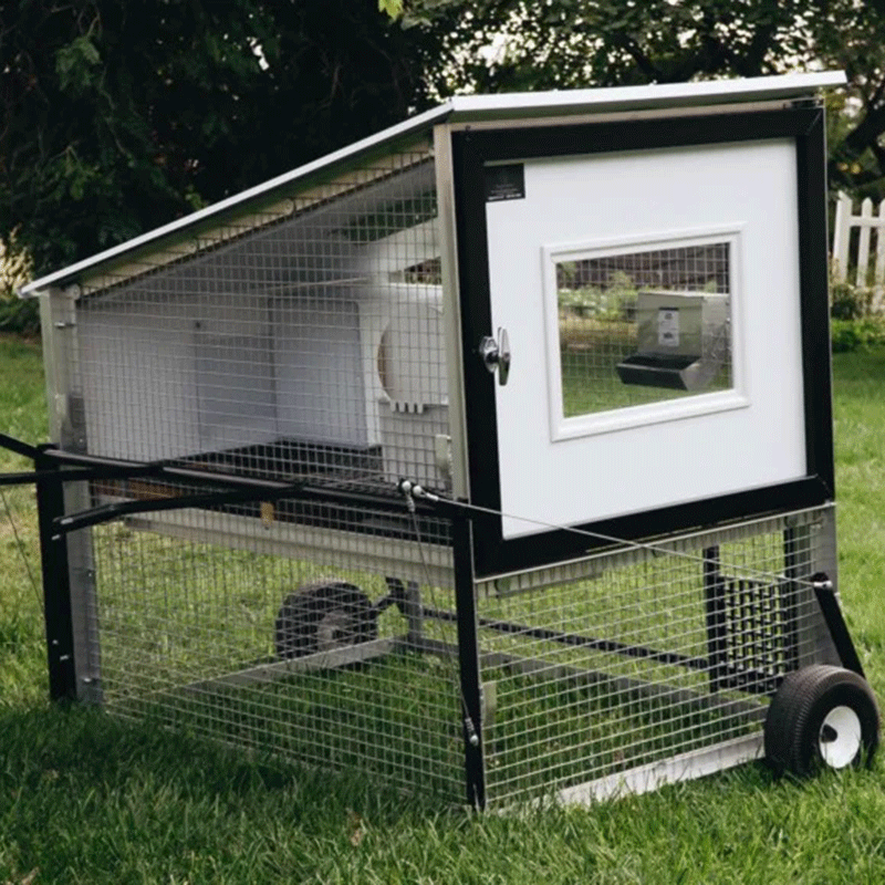 Egg Cart'n The Mini Chicken Tractor 4-5 Hens