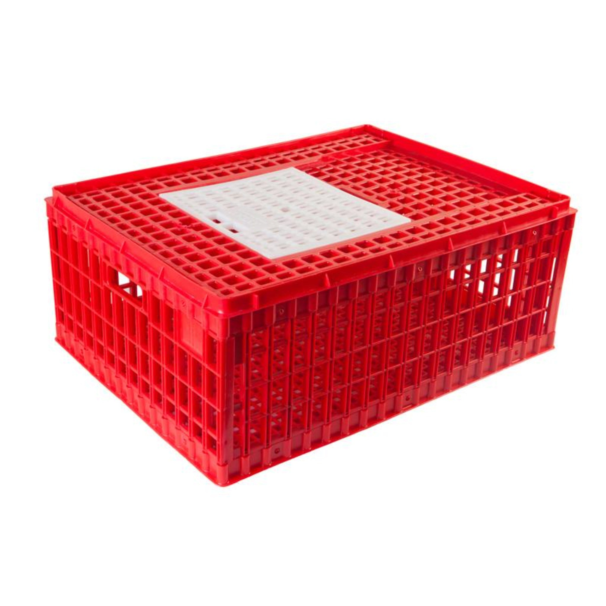 Hatching Time Transport Coop (Small, Deep) Top Door - Chicken