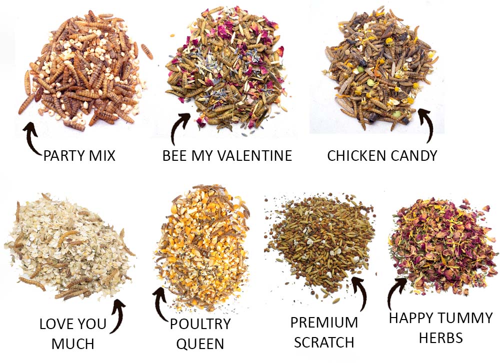 Pampered Chicken Mama Valentine's Goody Box - 7 Treats (12 pounds total!)