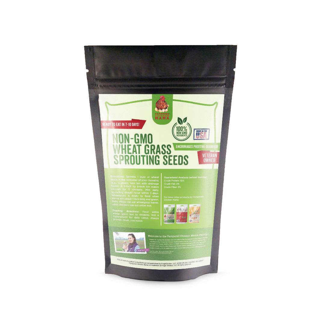 Pampered Chicken Mama Non-GMO Wheat Seeds for Sprouting Fodder (Wheat Grass)