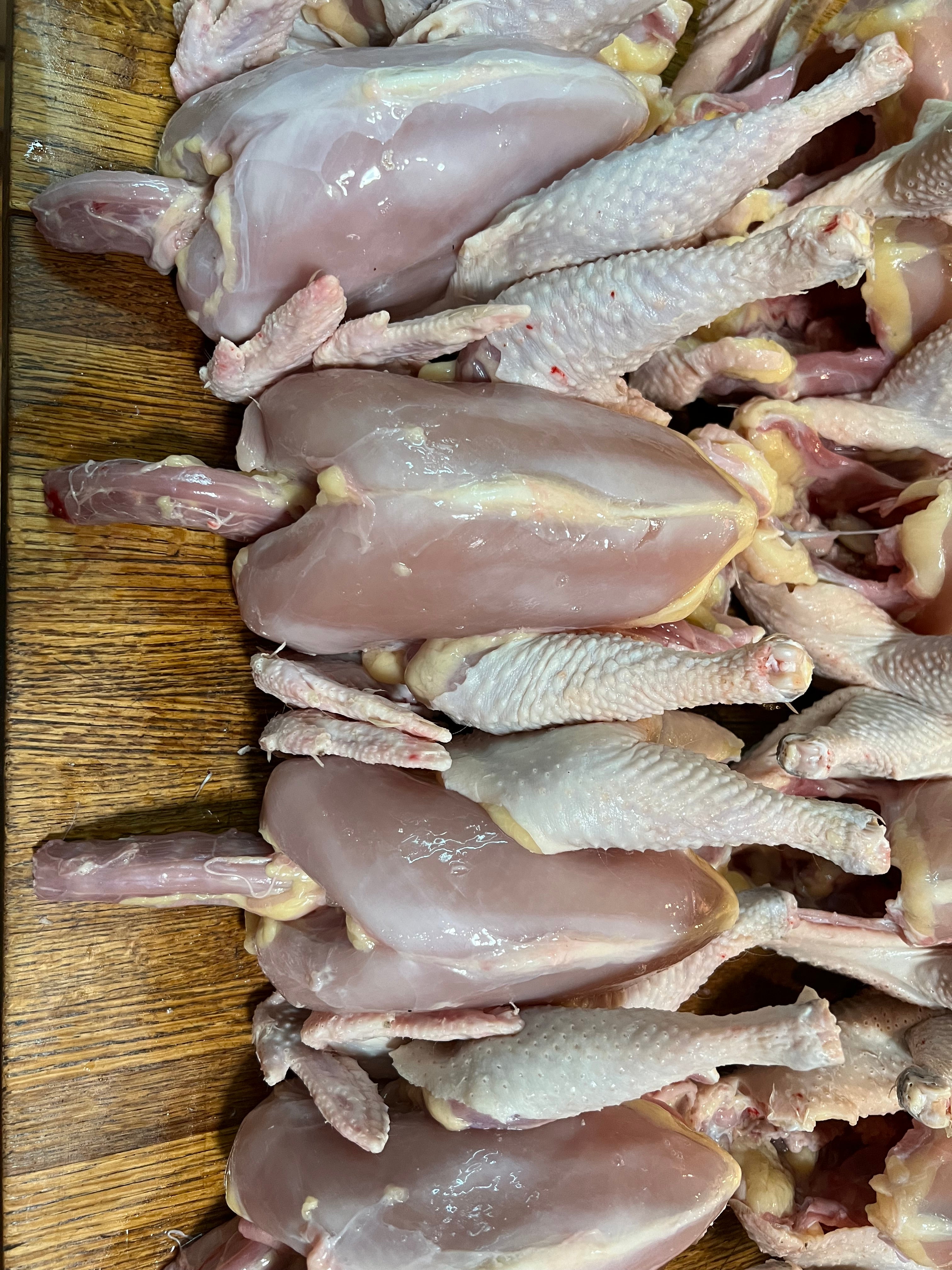 North Star Farms - White American Bresse – North Star Line- "JENN'S GEMS" Group