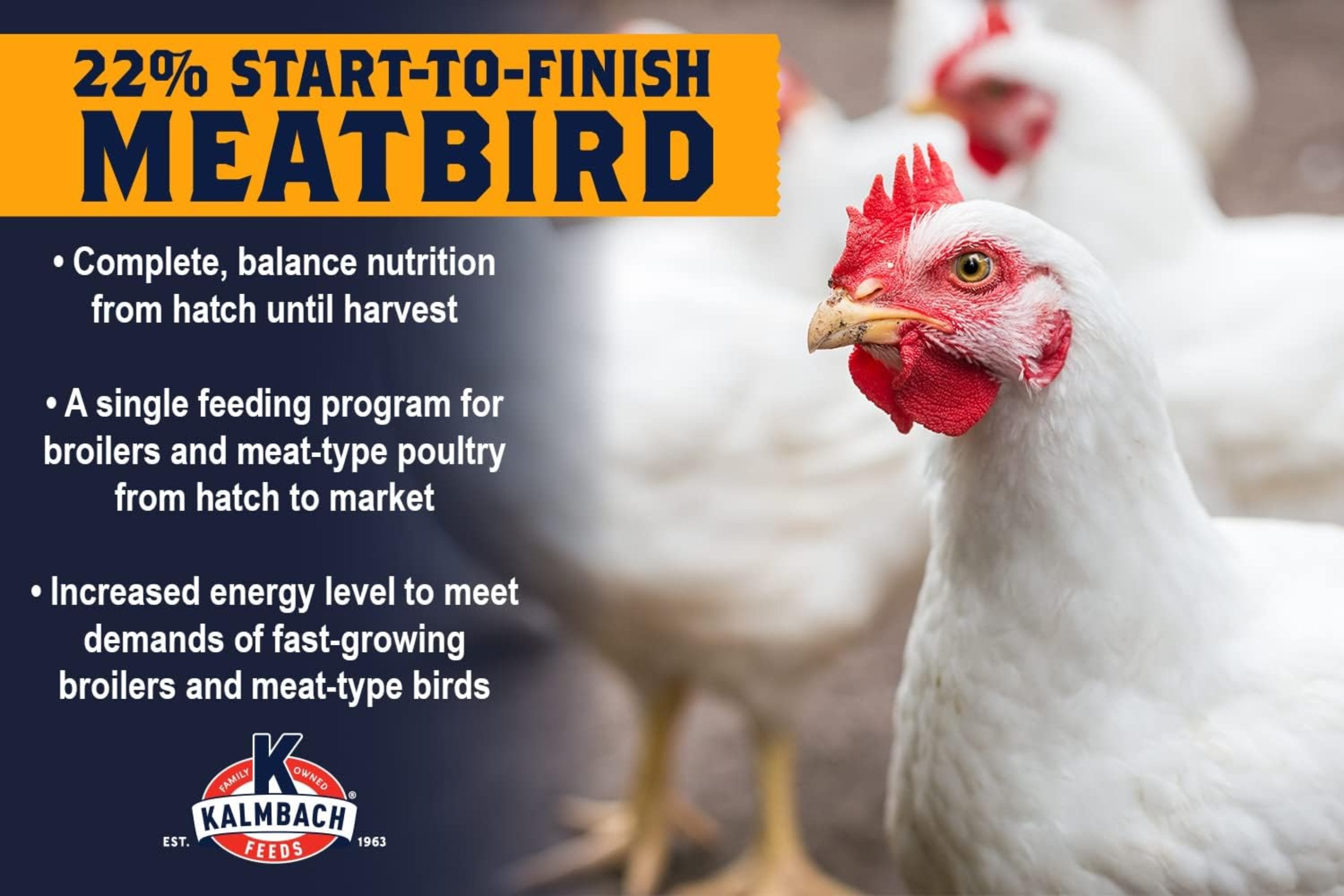 Kalmbach 22% ALL Natural  Start to Finish Meatbird Crumbles - 10 lb