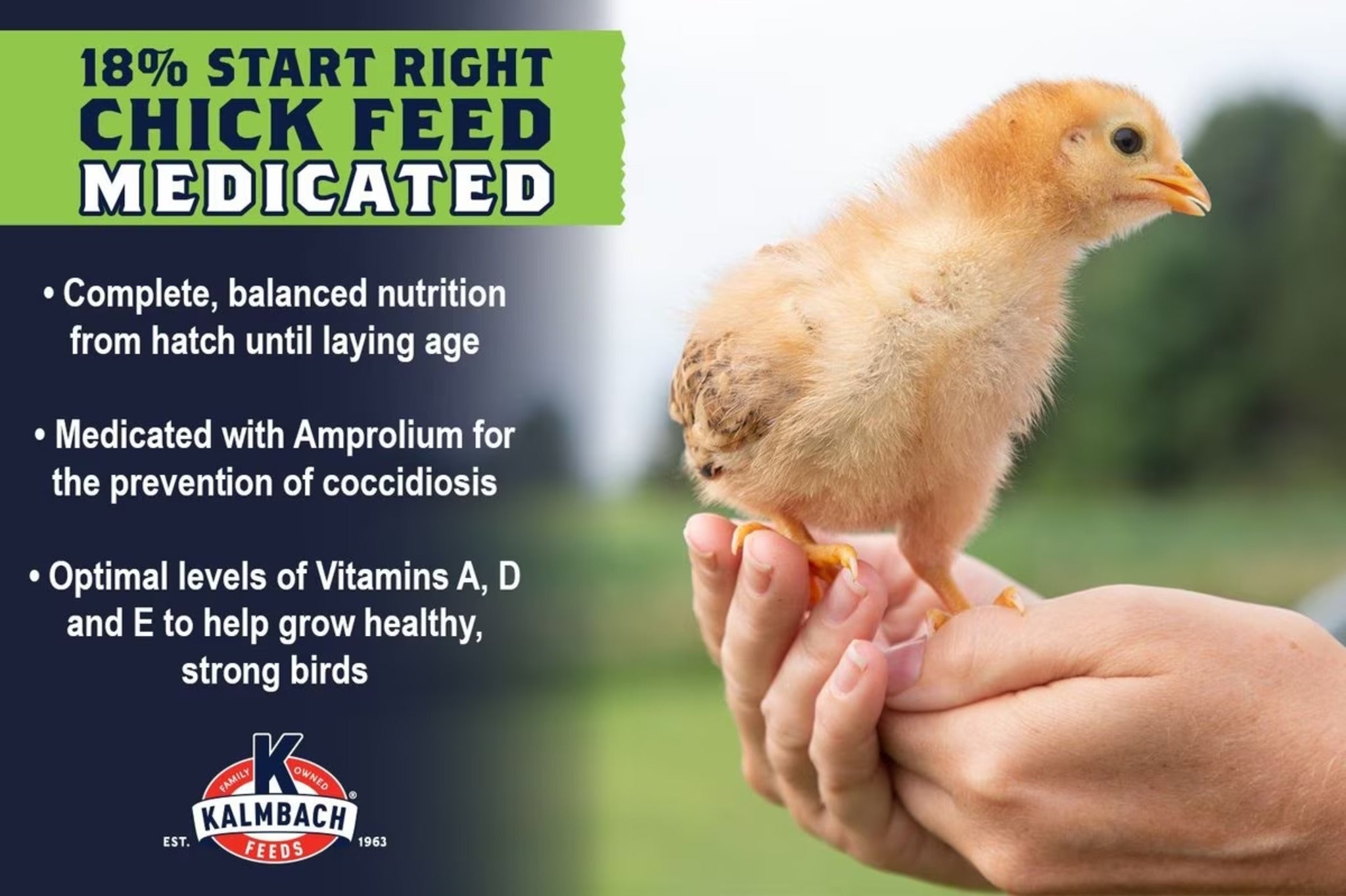 Kalmbach 18% All Natural Start Right Chick Crumbles Medicated - 10 lb
