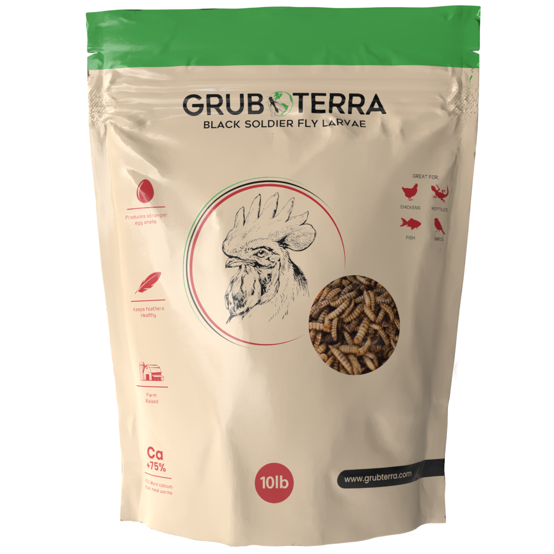 GrubTerra Black Soldier Fly Larvae | 5lb & 10lb Bags
