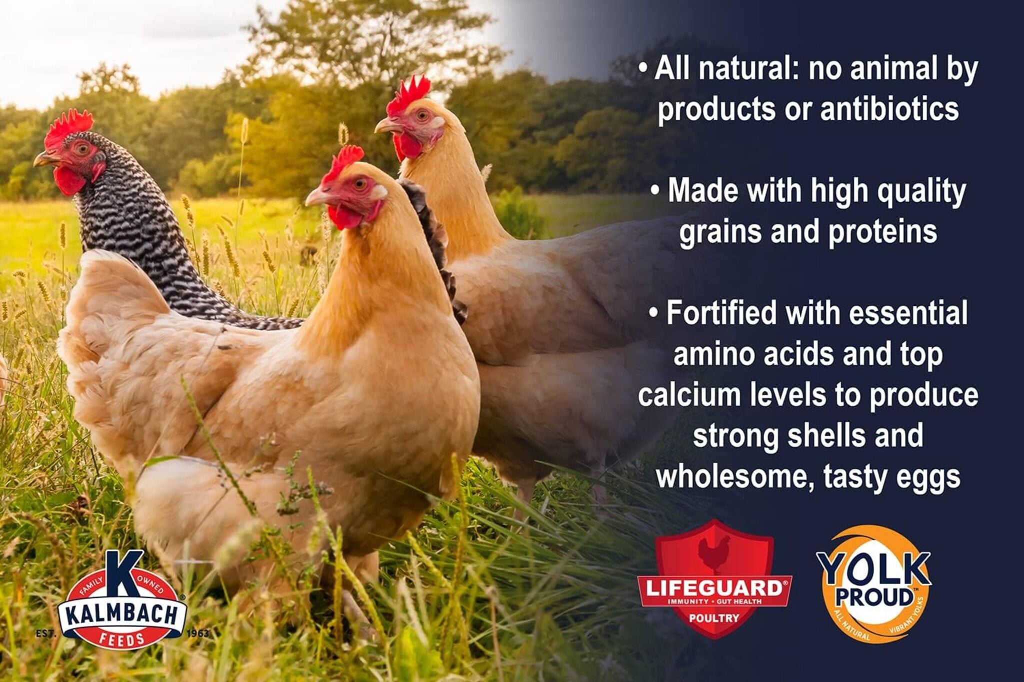 Kalmbach 17% ALL NATURAL LAYER Crumbles for Chickens - 10 lb
