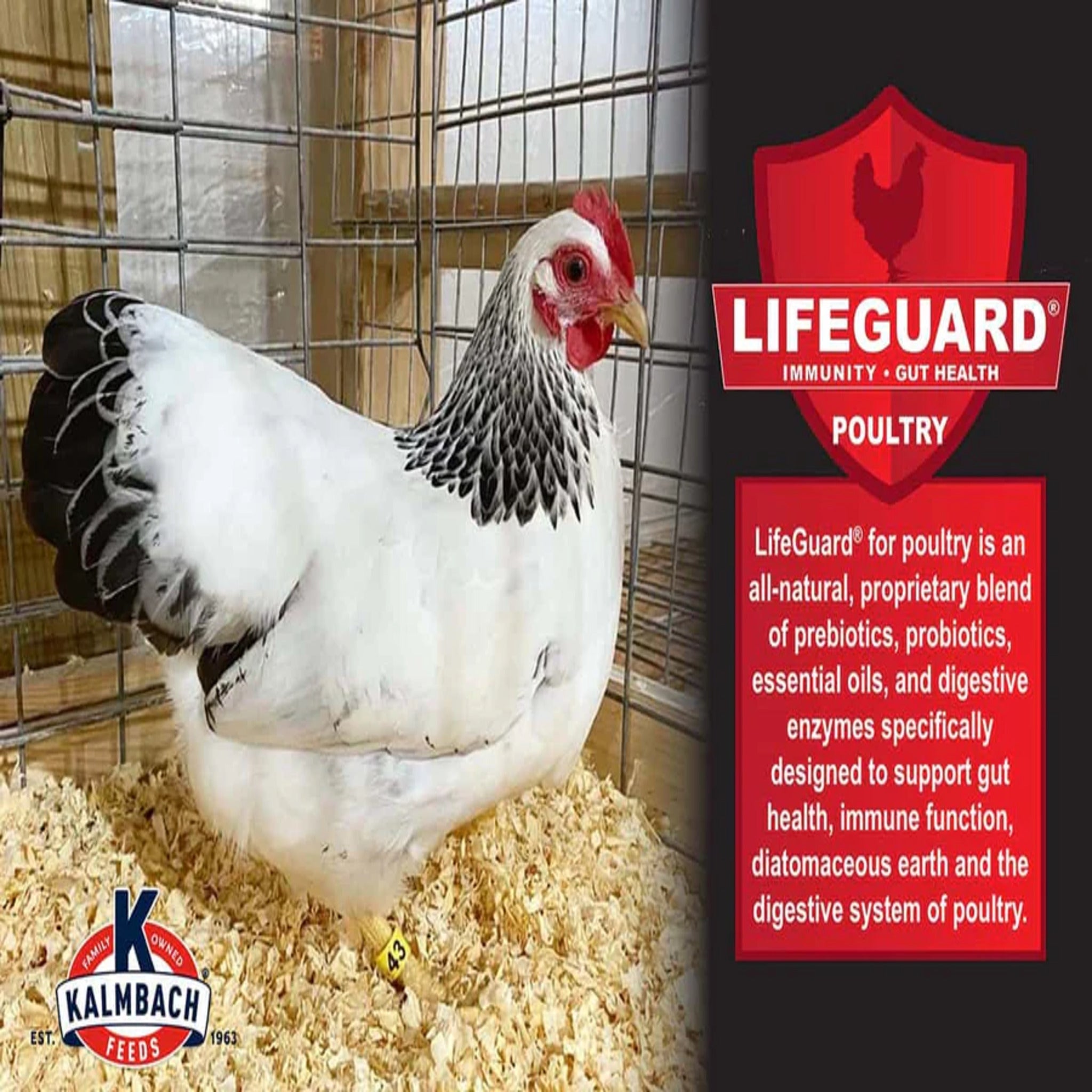 Kalmbach 24% Show Bird Poultry & Gamebird Starter Grower - 5 lb