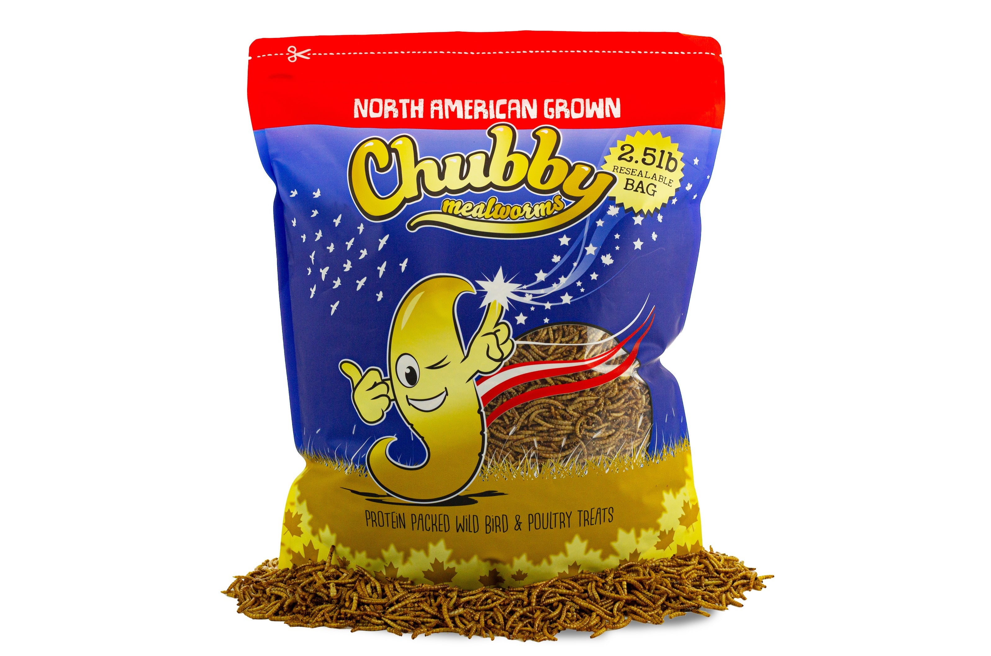 Chubby North American Dried Mealworms 2.5Lbs (Montreal Grown) Non-GMO