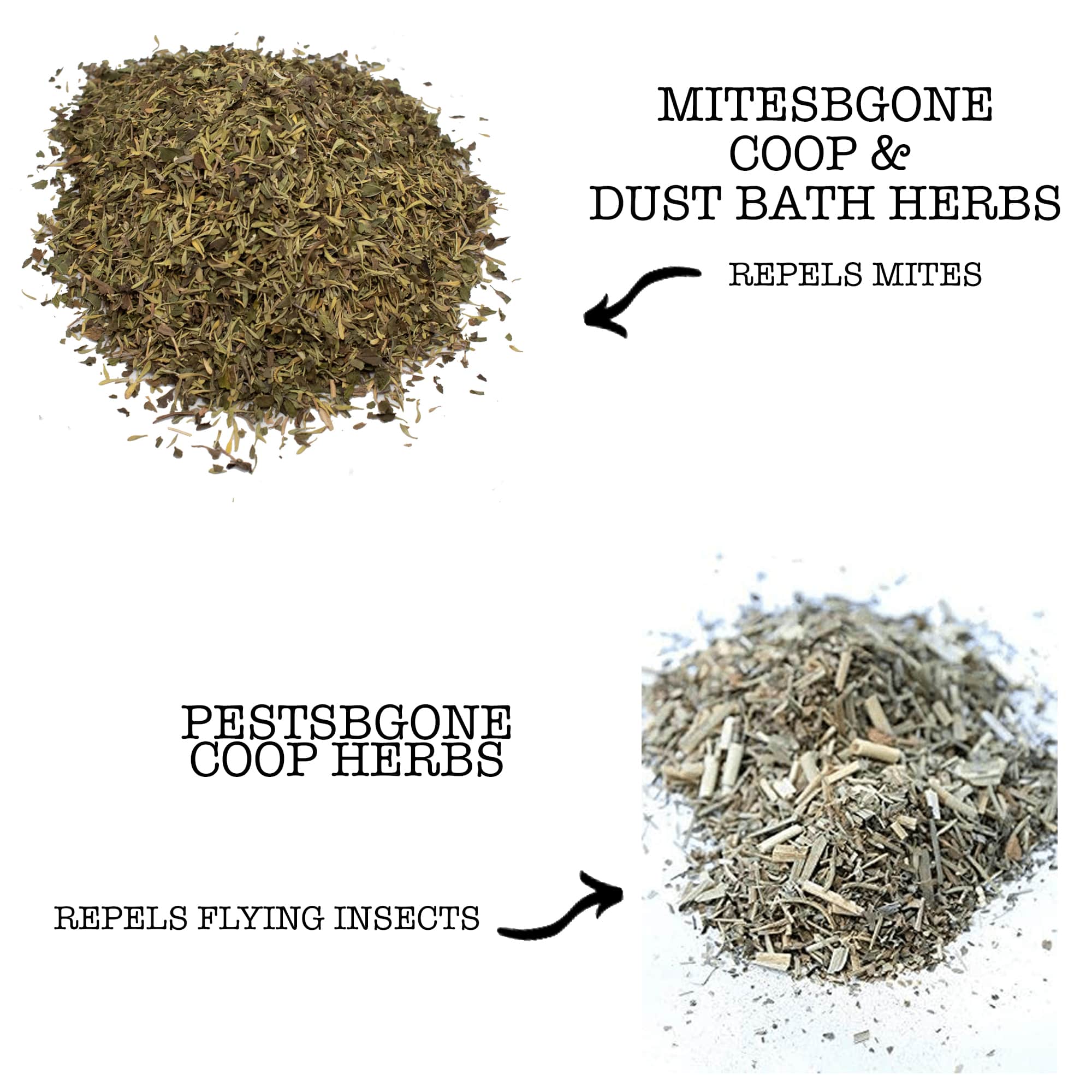 Pampered Chicken Mama MitesBGone & PestsBGone Coop Herbs Bundle - 2 Blends In Bundle To Repel Pests