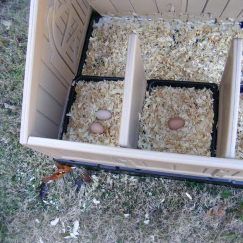 Snaplock by Formex Standard Chicken Coop 4 Chickens