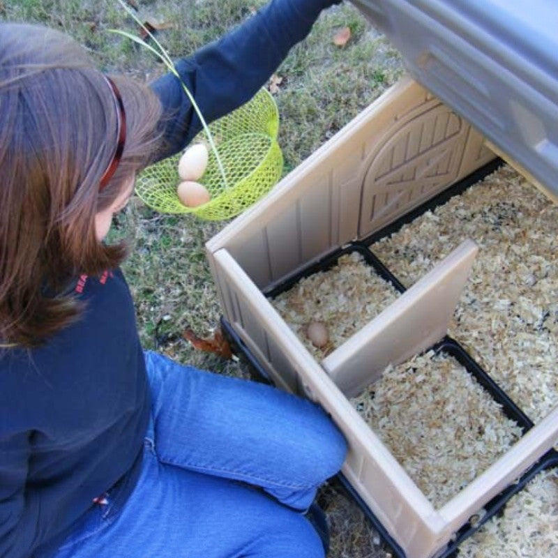Snaplock by Formex Standard Chicken Coop 4 Chickens