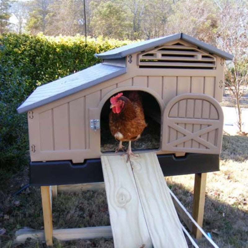 Snaplock by Formex Standard Chicken Coop 4 Chickens