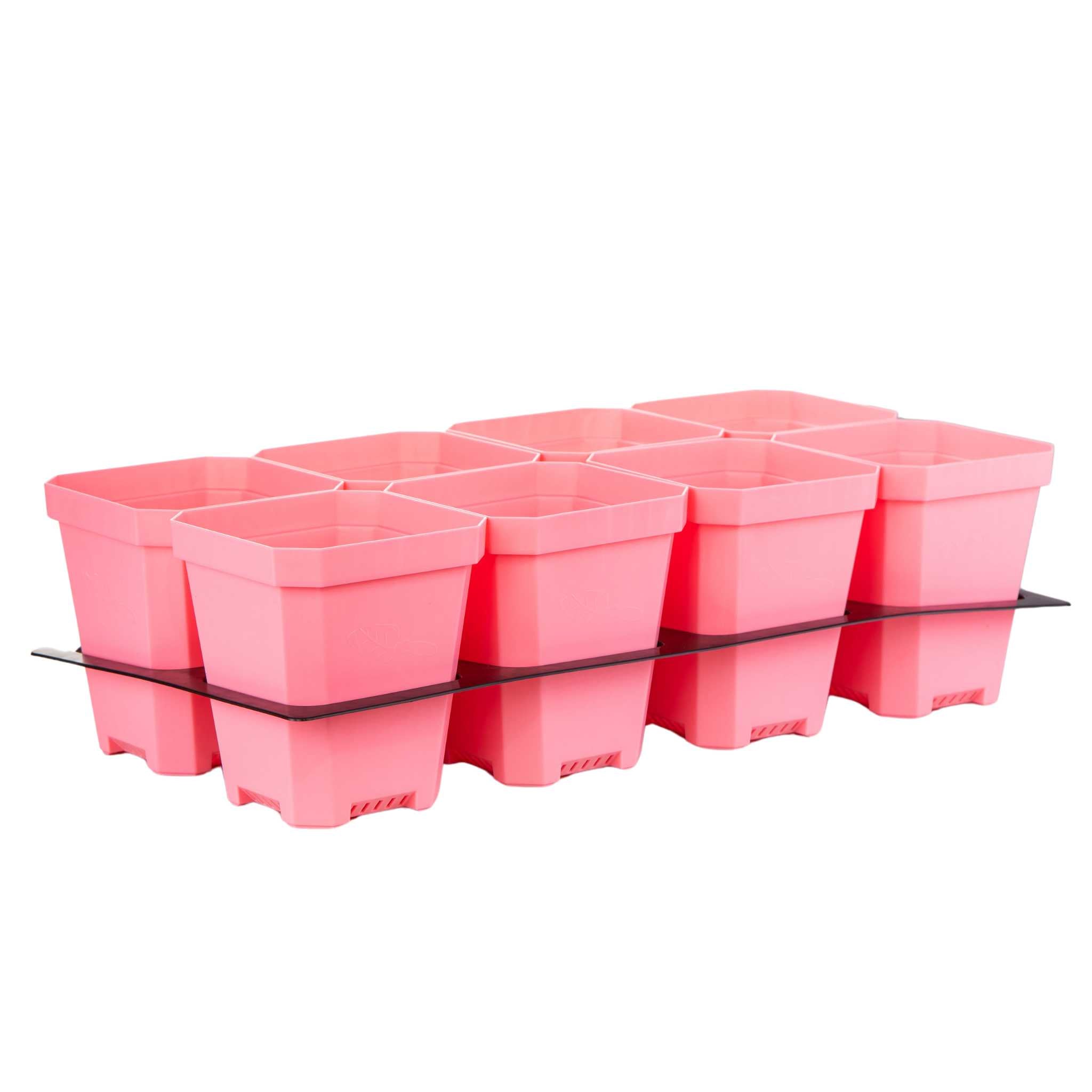 5" Nursery Pots with Insert Tray