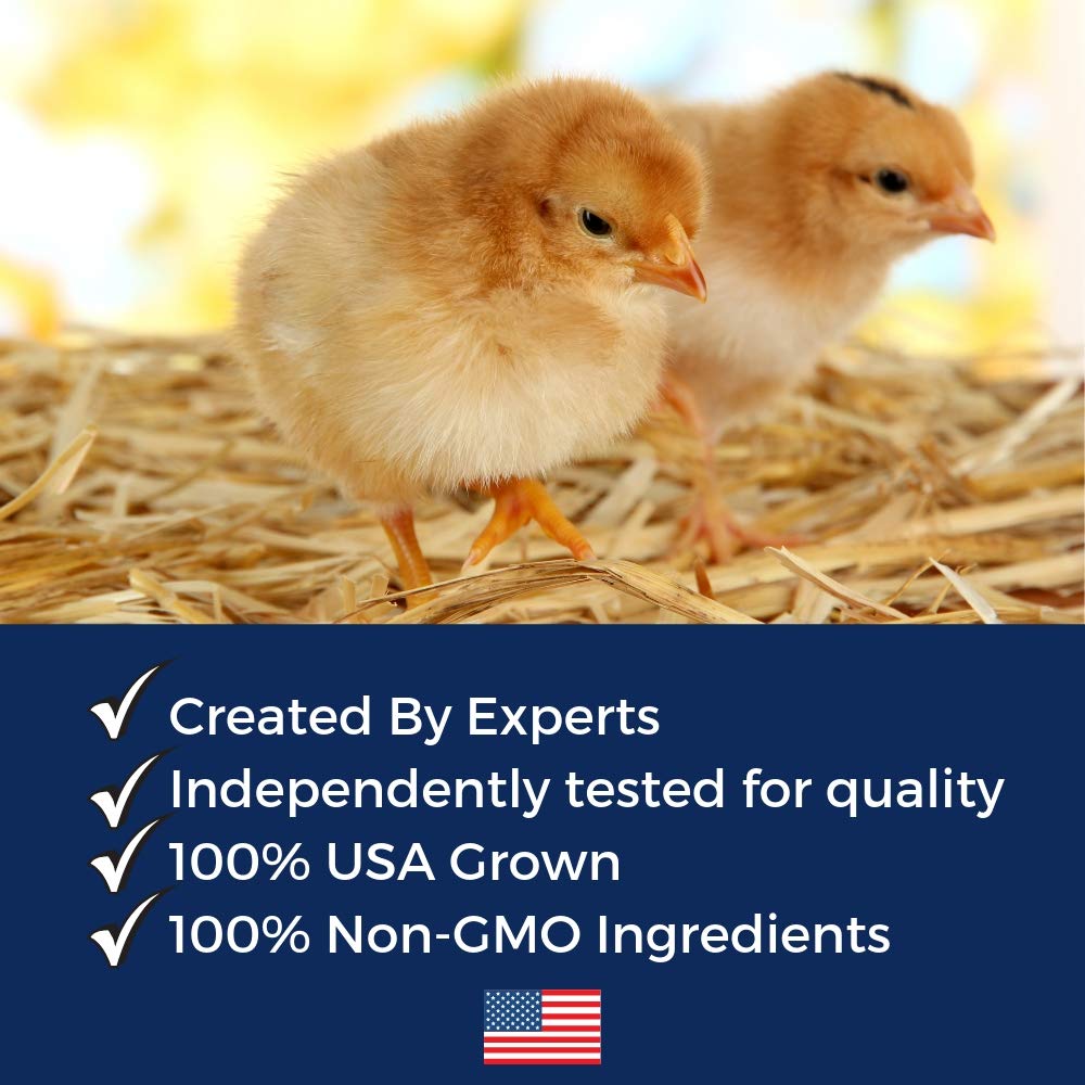 Pampered Chicken Mama Herbal Non-GMO Chick Starter & Grower Feed With Oregano & Garlic For Baby Chicks