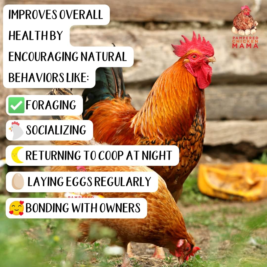 Oregano Peck Baby Chicken Feed Supplement with Organic Kelp & Oregano