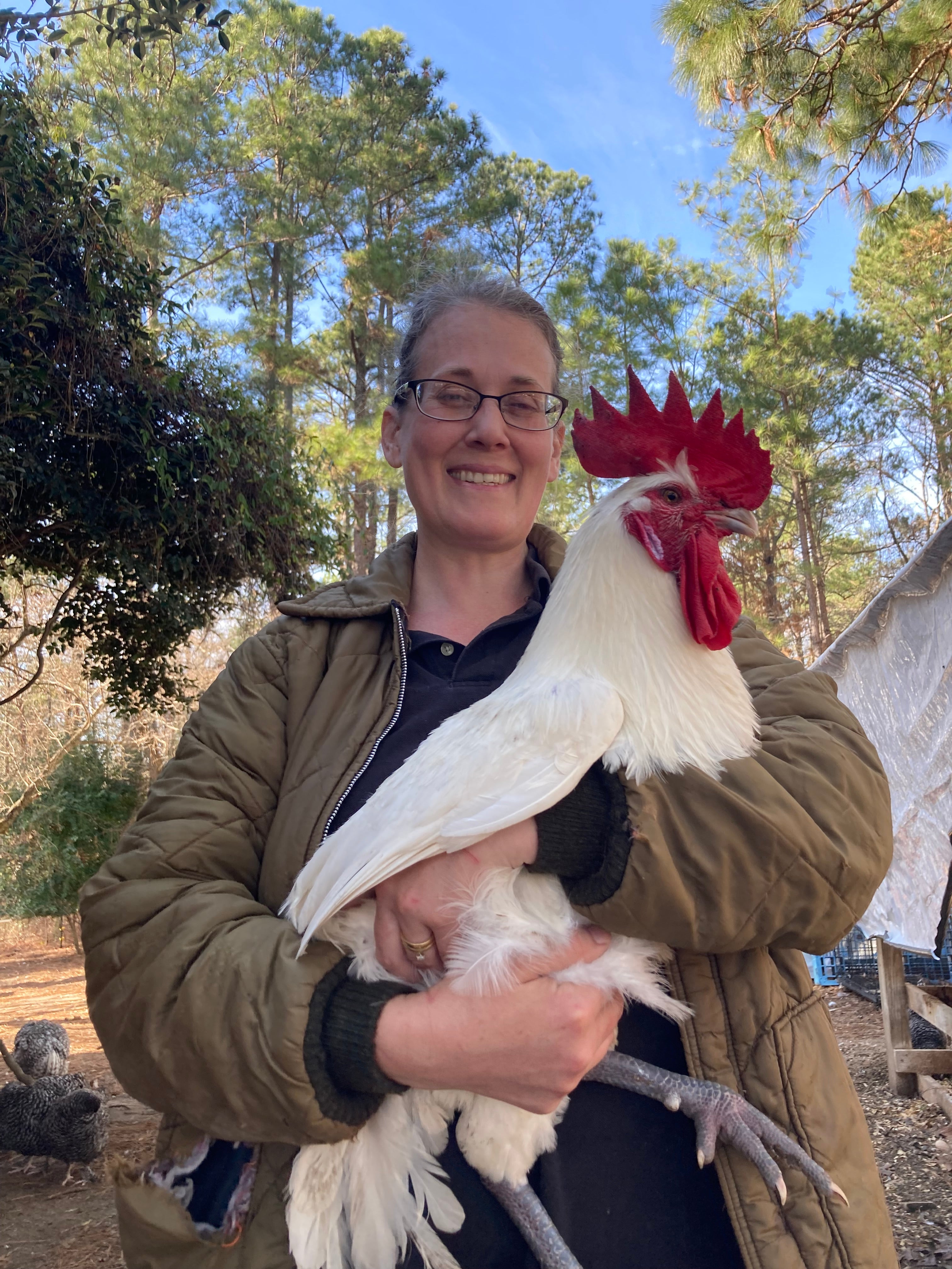 North Star Farms - White American Bresse – North Star Line- "JENN'S GEMS" Group