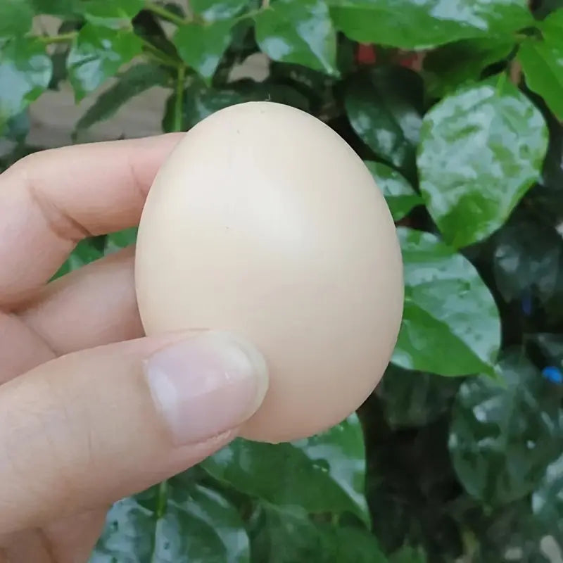 Dahlia Pets Chicken Coop Training Eggs (5 pack) - Artificial/Fake Eggs