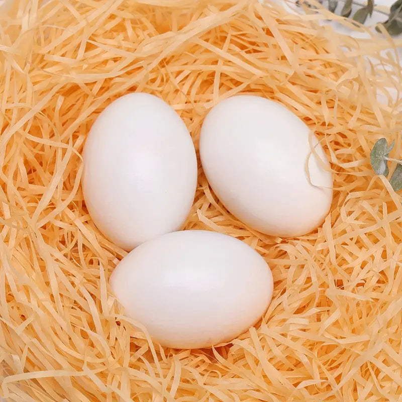 Dahlia Pets Chicken Coop Training Eggs (5 pack) - Artificial/Fake Eggs
