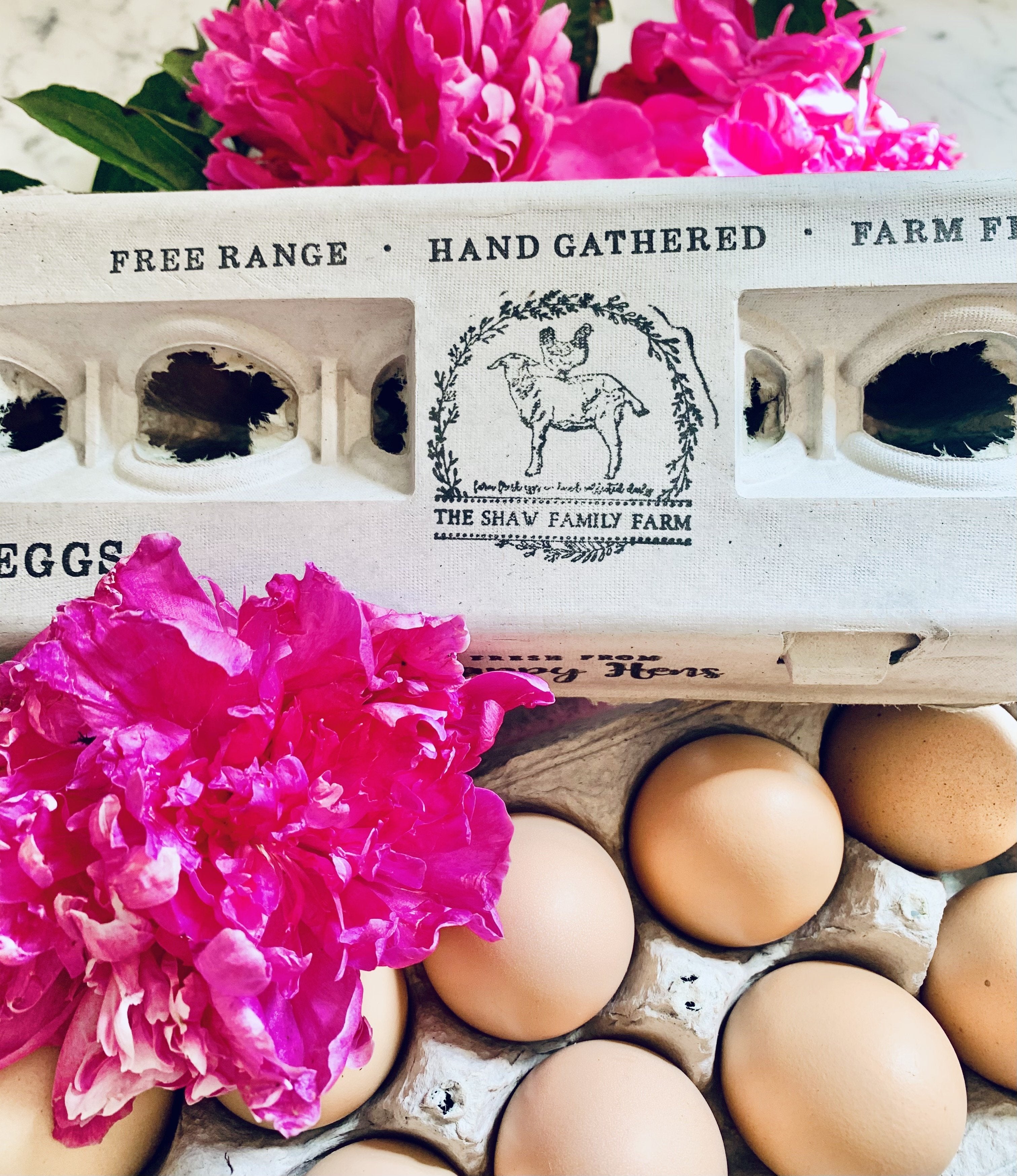 Henlay Traditional Egg Cartons