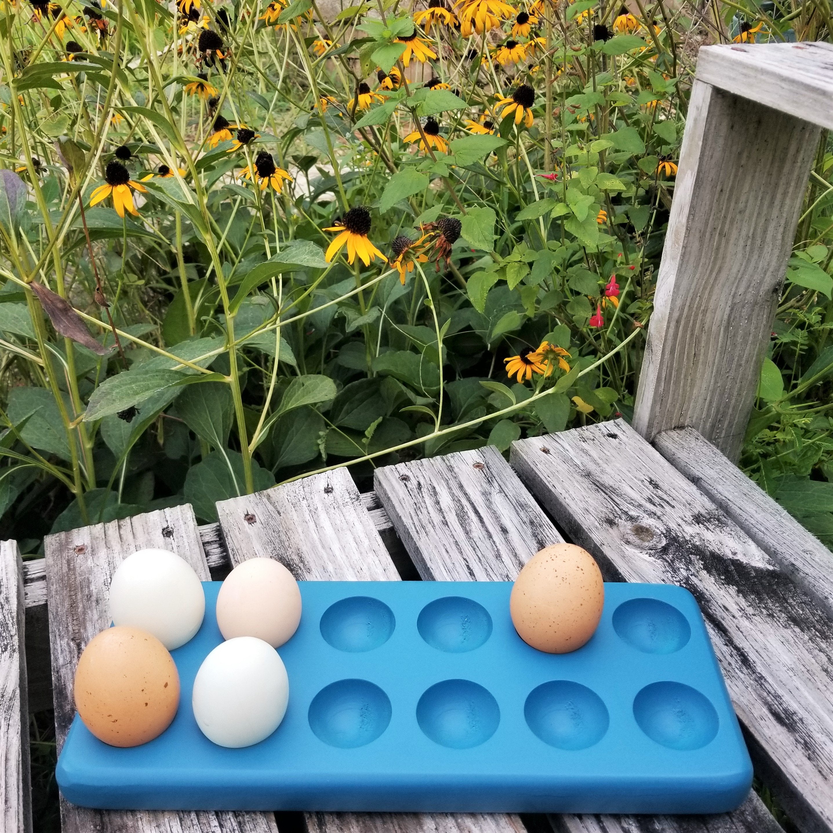 Henlay Wooden Egg Storage Tray