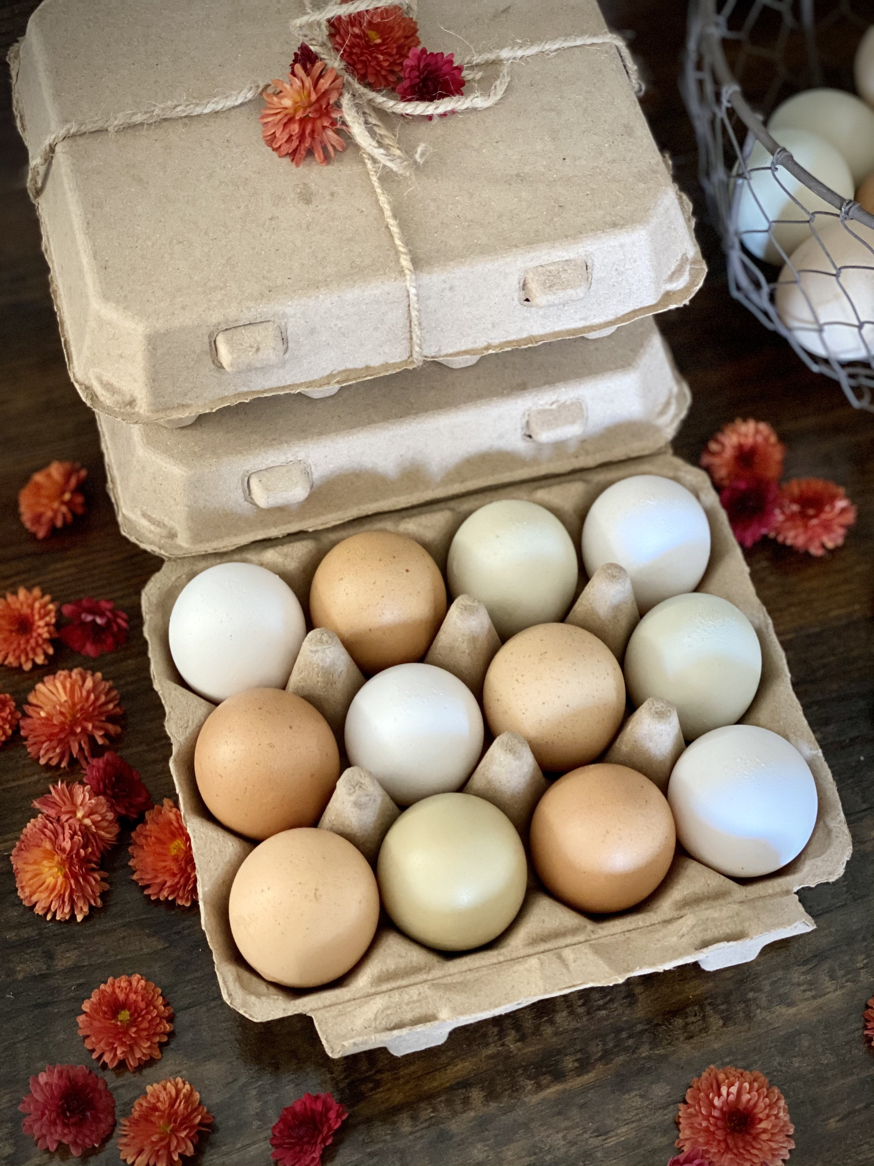 Henlay Vintage Blank Egg Cartons Tan or White