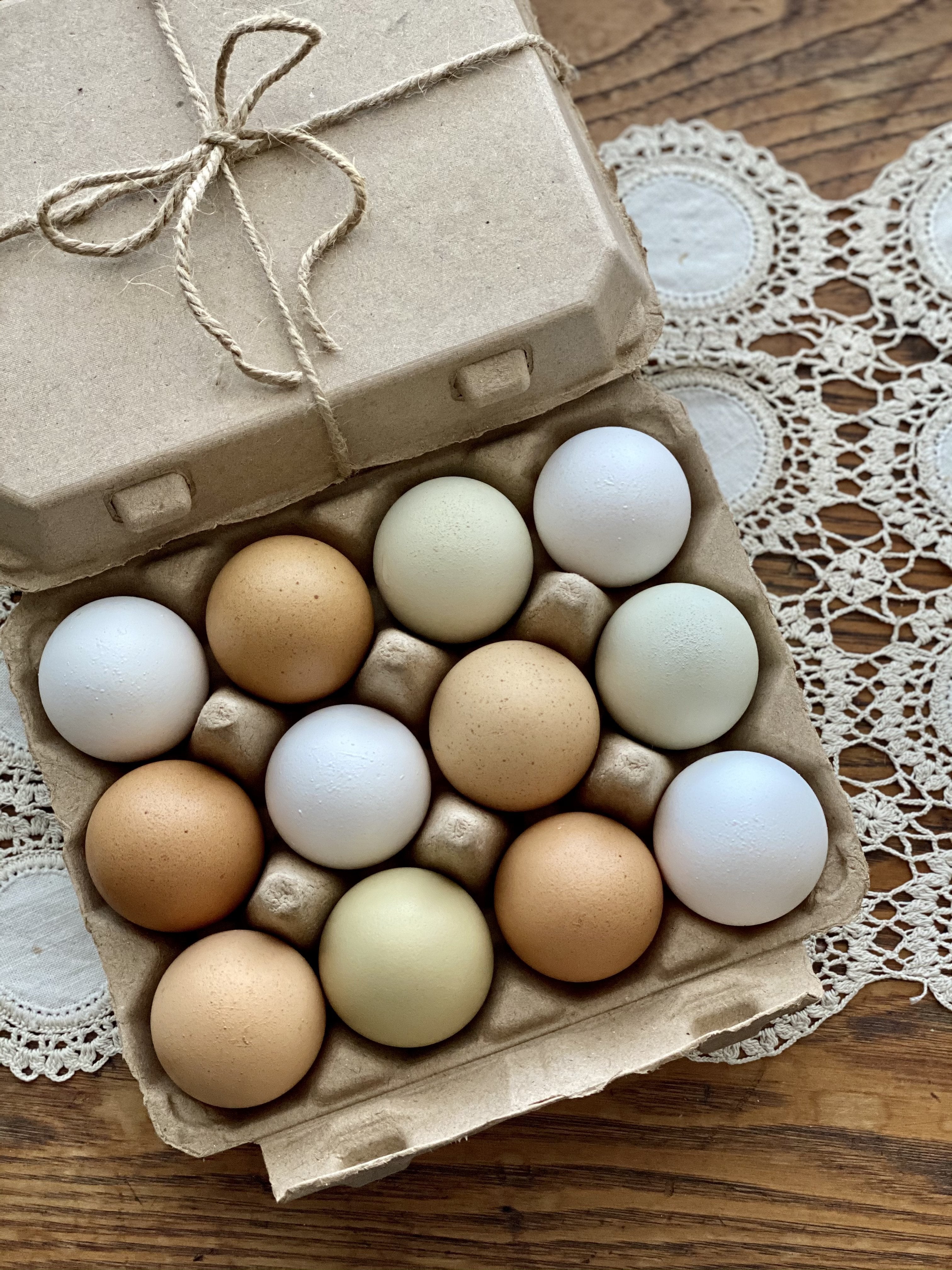 Henlay Vintage Blank Egg Cartons Tan or White