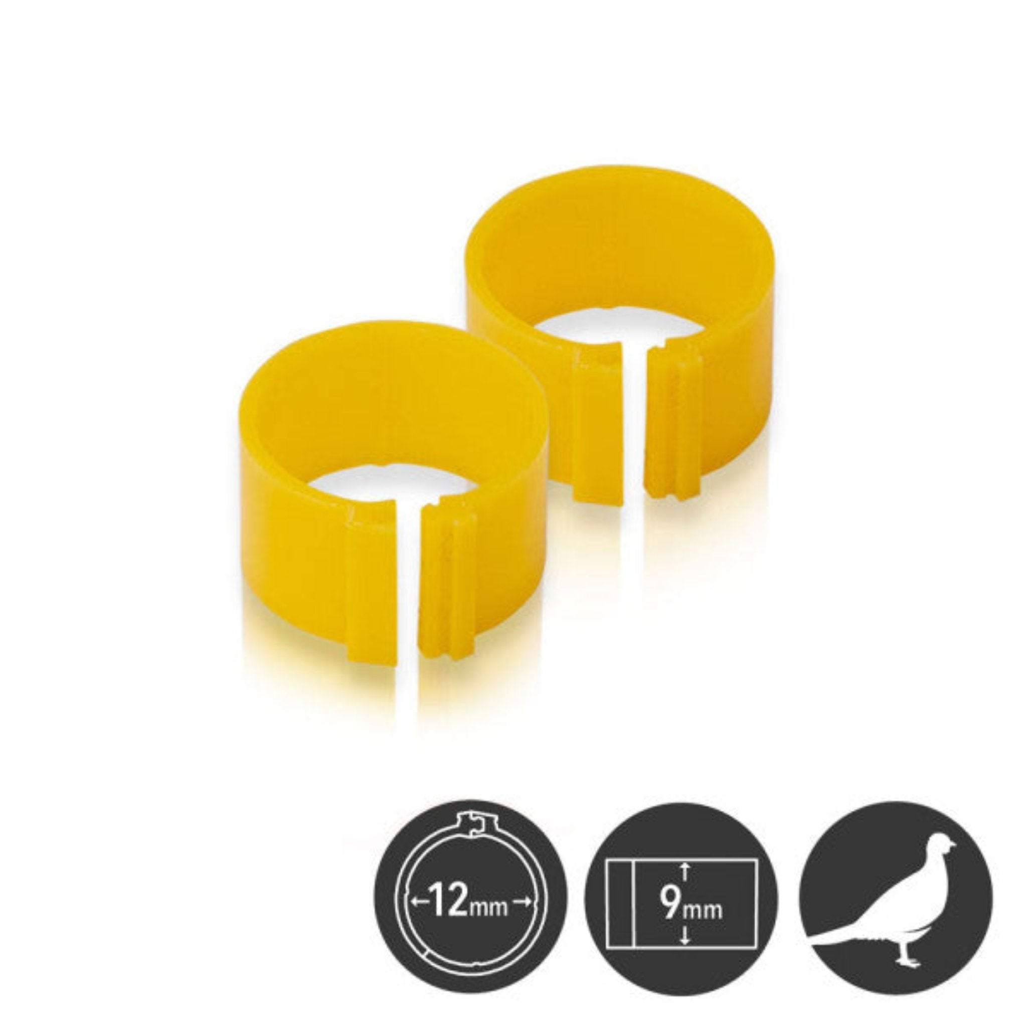 Hatching Time Poultry Leg Bands - 12 mm - Pack of 25