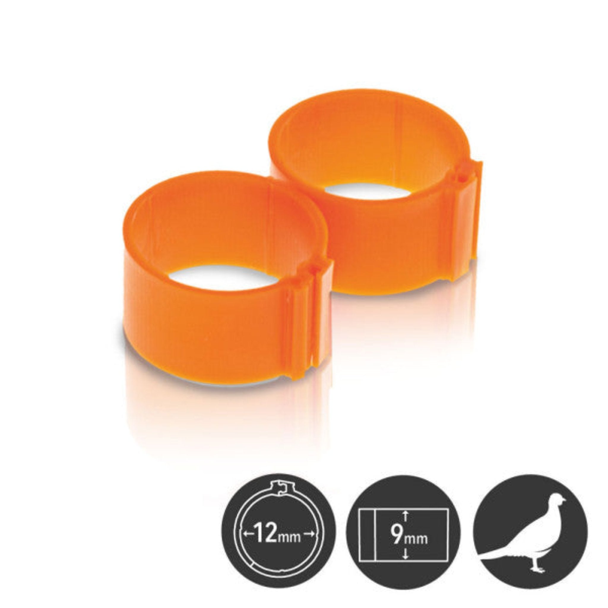 Hatching Time Poultry Leg Bands - 12 mm - Pack of 25