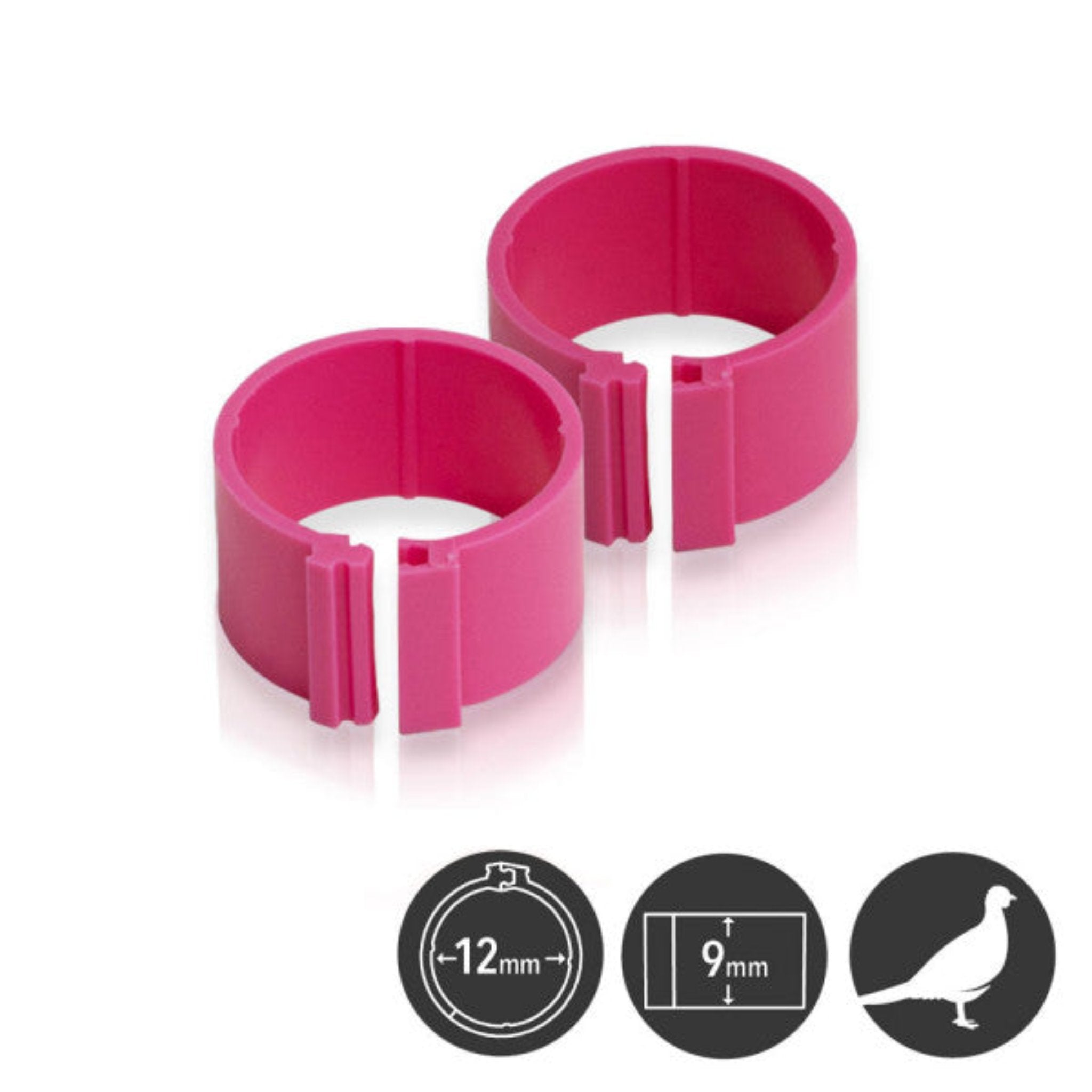 Hatching Time Poultry Leg Bands - 12 mm - Pack of 25