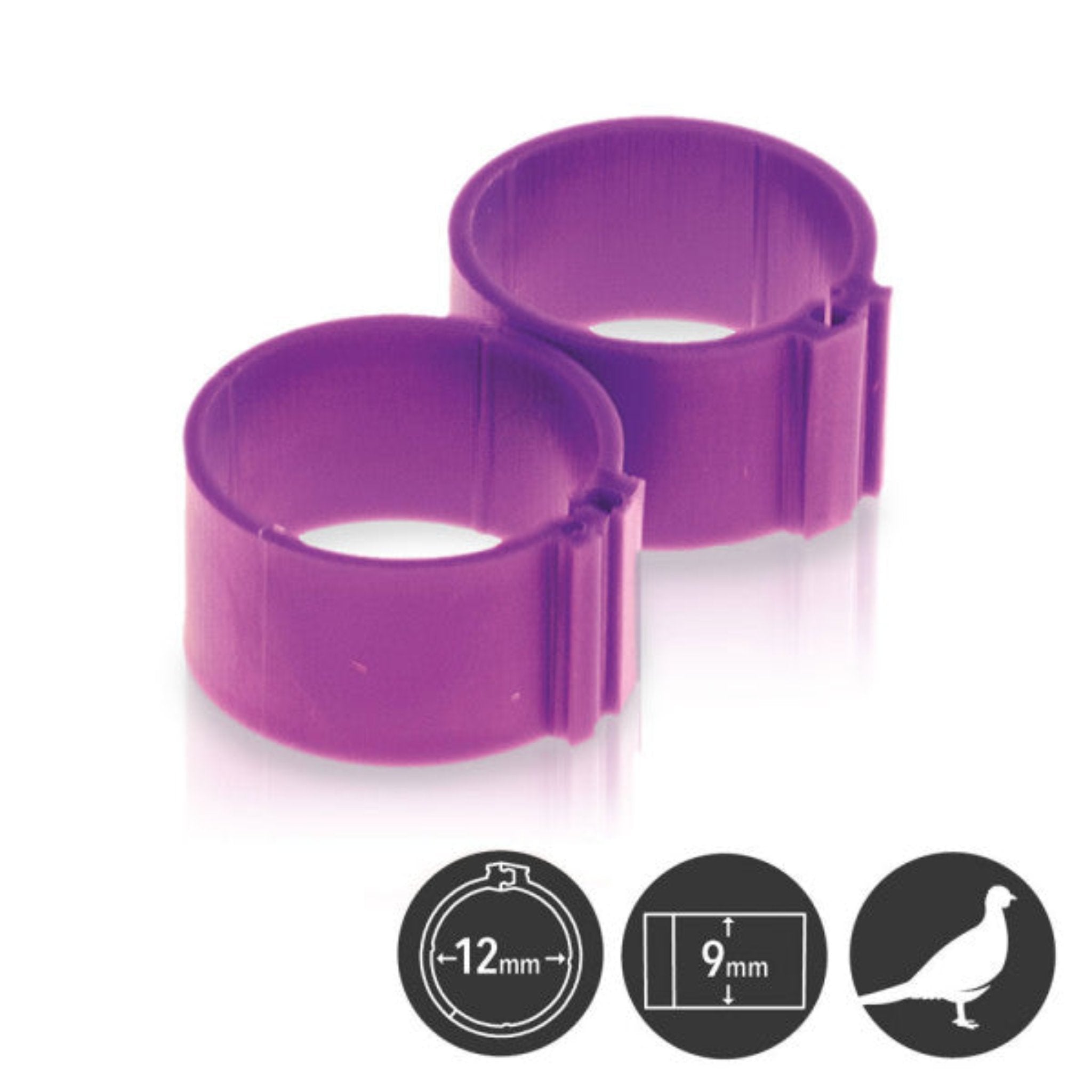 Hatching Time Poultry Leg Bands - 12 mm - Pack of 25