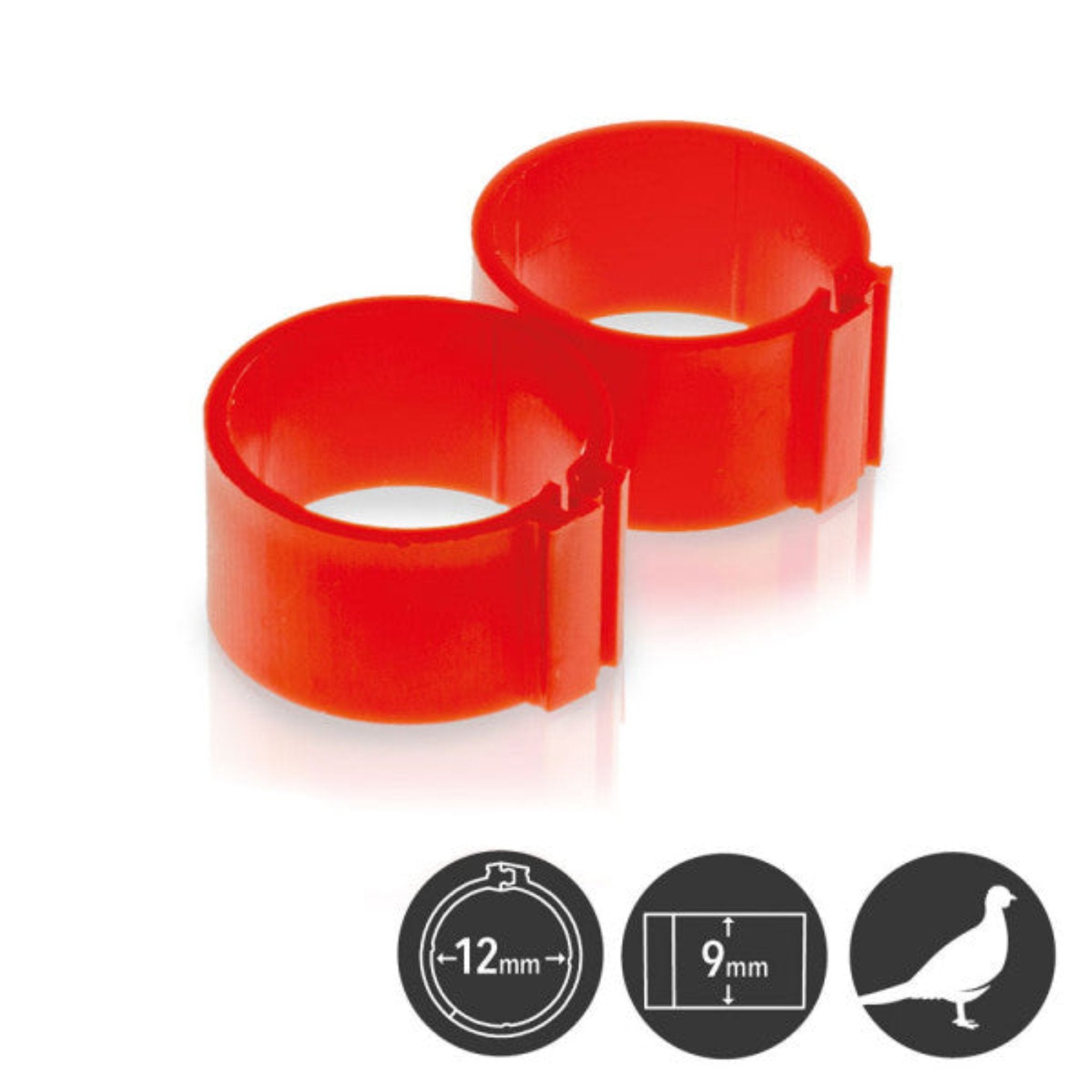 Hatching Time Poultry Leg Bands - 12 mm - Pack of 25