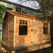 CedarShed Haida front 5