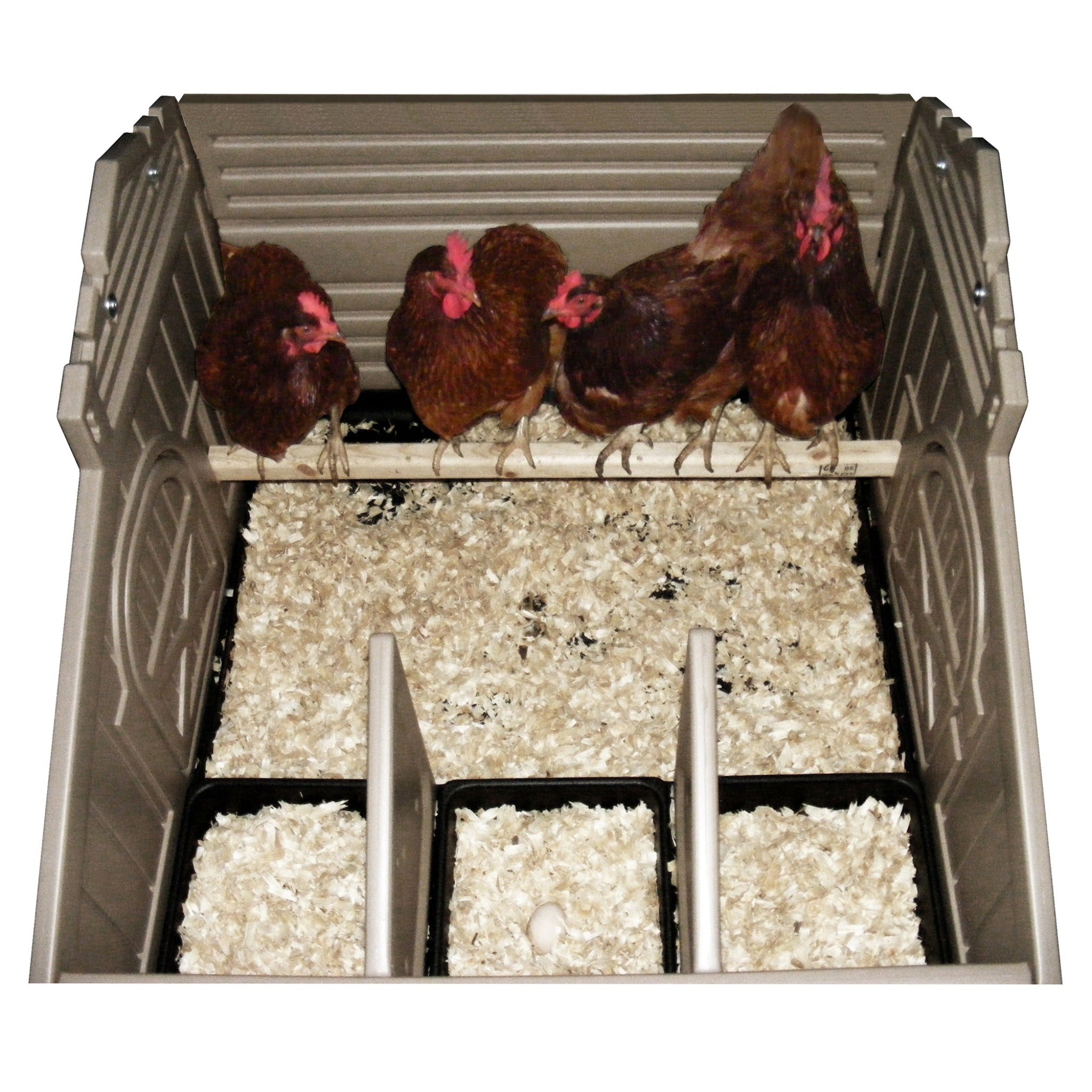Snaplock by Formex Standard Chicken Coop with Stand and Stairs & Run
