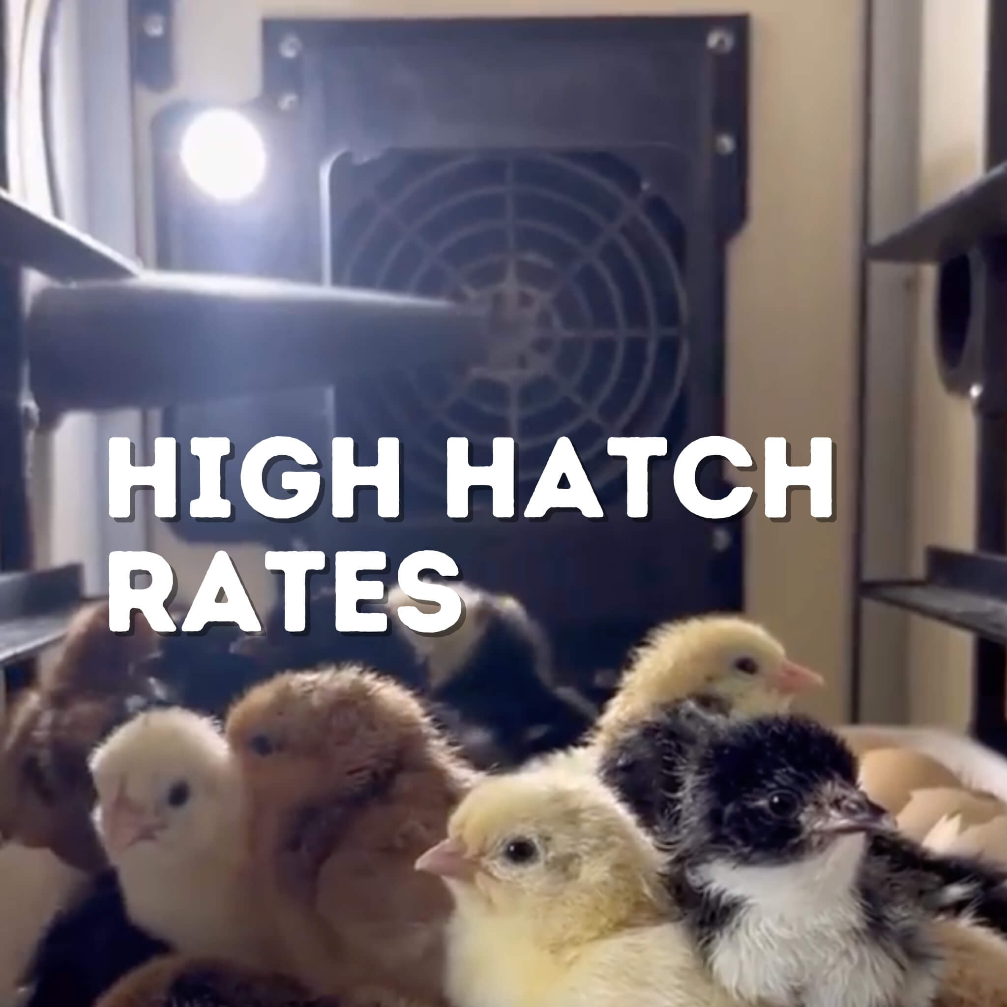 Cimuka CT60 H - Egg Incubator - Hatcher Only higher hatch rates
