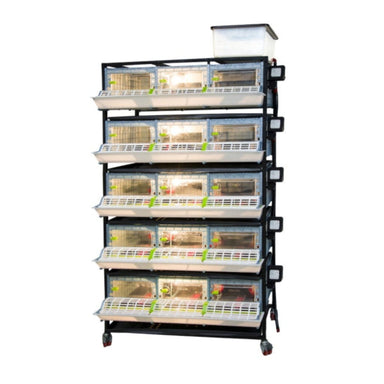 Cimuka Pheasant, Quail & Chick Brooder - 5 Layer H: 9.5"