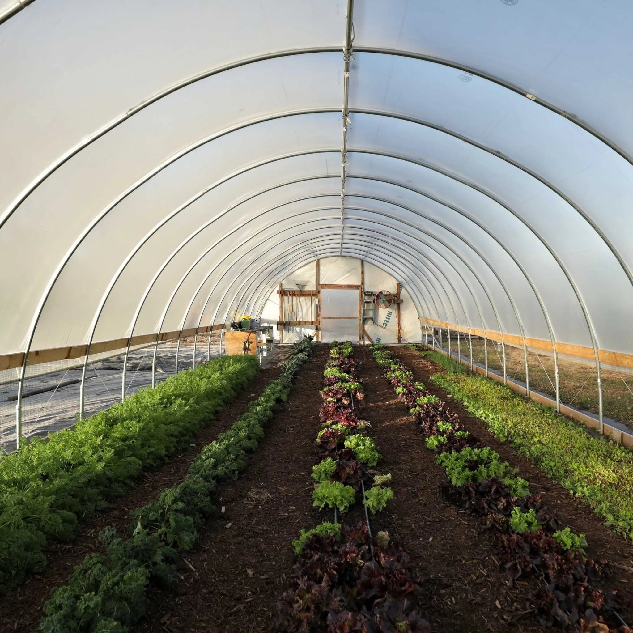 Bootstrap Farmer Hoop Coop Polytunnel DIY Greenhouse Kit - 20 ft Wide Hoop House