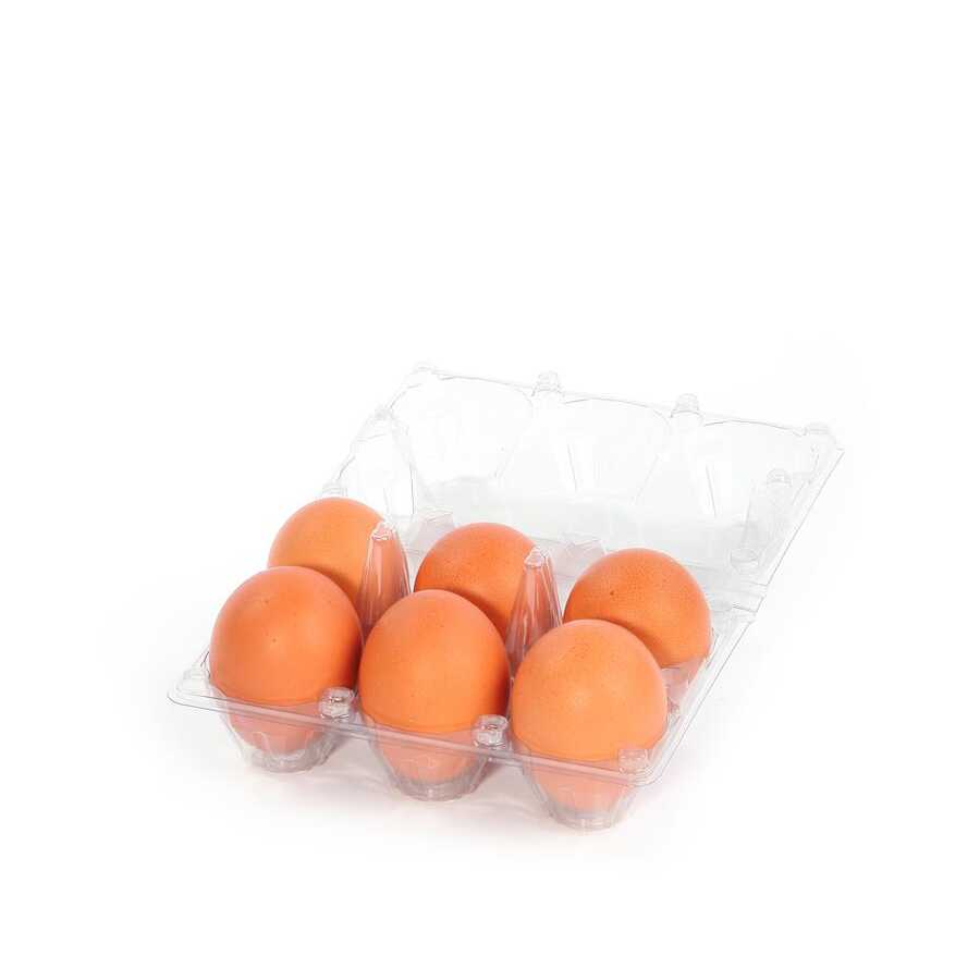 Hatching Time 6-Egg Carton - Clear Plastic