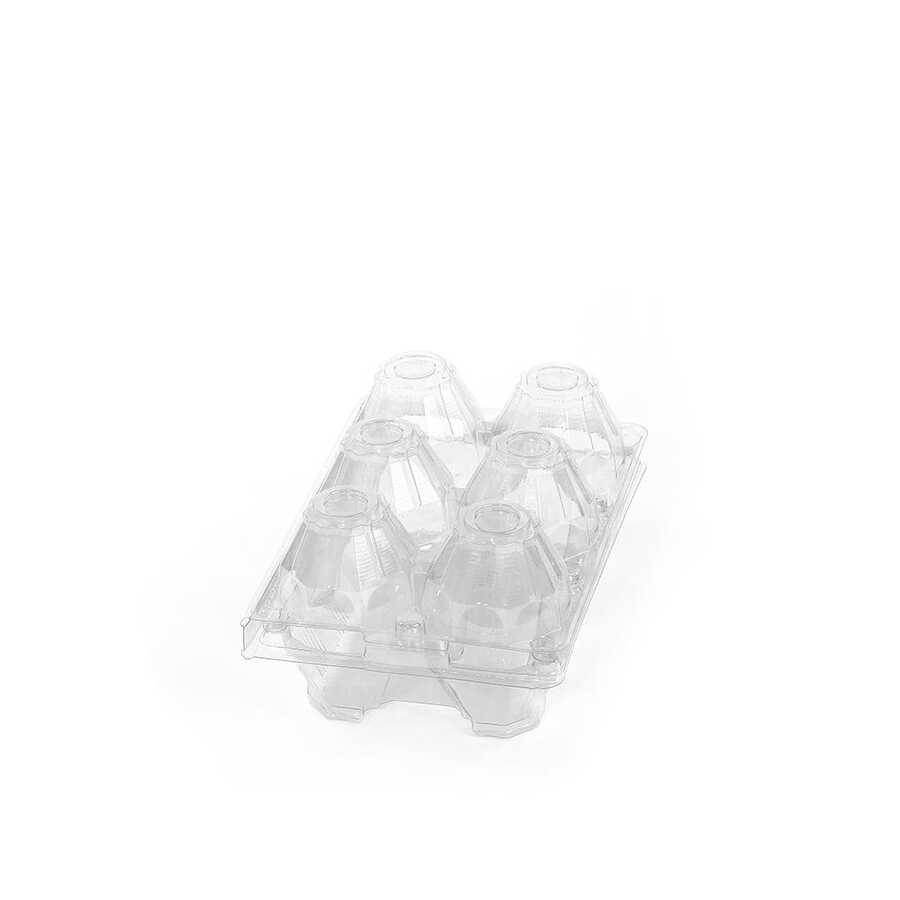 Hatching Time 6-Egg Carton - Clear Plastic